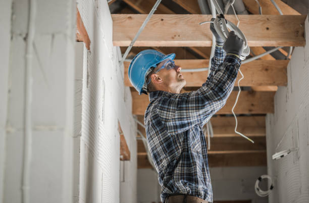Best Generator Installation Services  in Scenic Oaks, TX